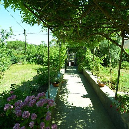 Apartment Renata Veli Lošinj Kültér fotó